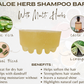 2 In 1 Aloe Herb Shampoo Bar