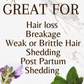 Hair Loss Herbal Tea Rinse